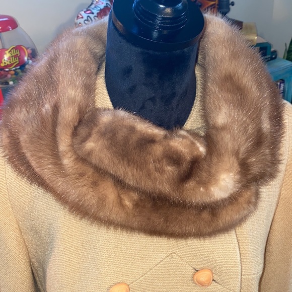 Rothmoore Beauty - Picture 6 of 16